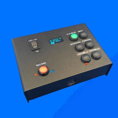Voice Recorder (DVR07)